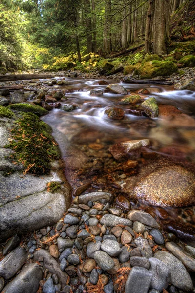 Rocky stream in mountains. — Stock Photo, Image