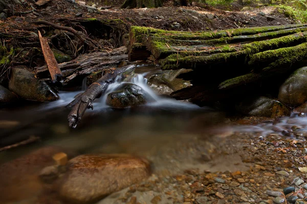 Small mountain stream. — Stock Photo, Image