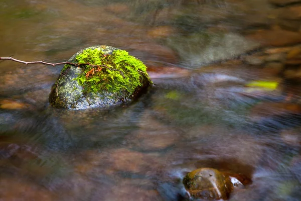 Muschio su una roccia in un ruscello . — Foto Stock