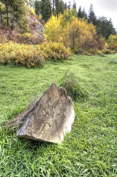 Pedra na grama verde . — Fotografia de Stock