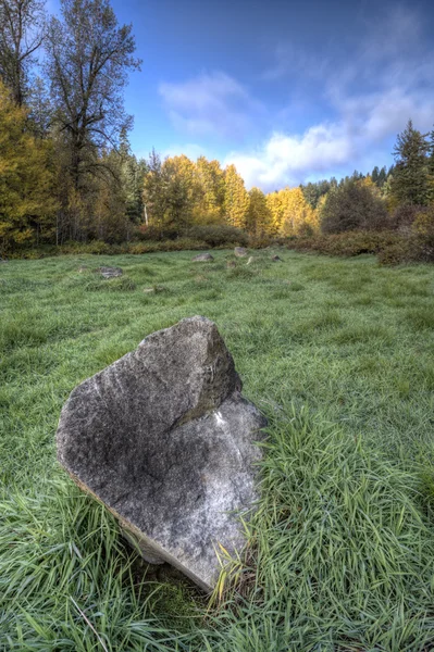 stock image Boulder in a field.