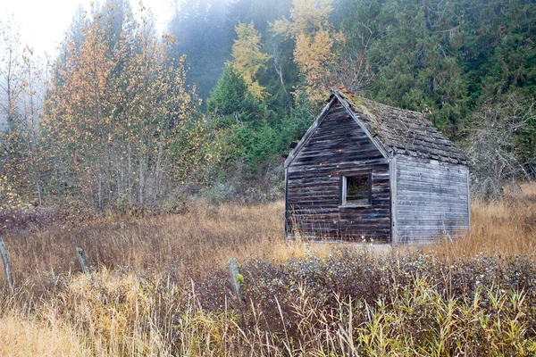 And old weathered shed. — Stock Photo, Image