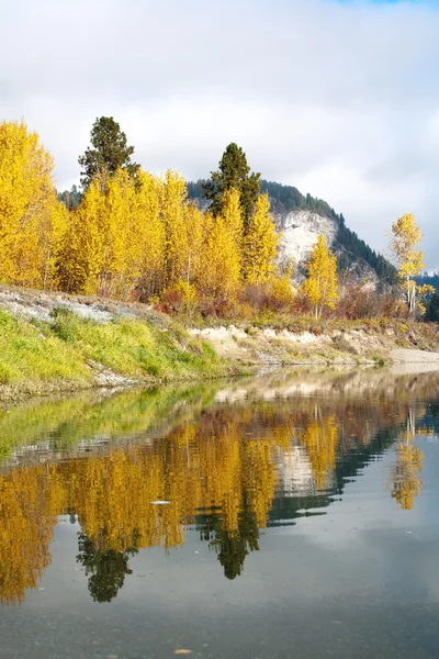 Nehir kapalı sonbahar renkleri. — Stok fotoğraf