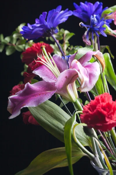 Lilie mit verschiedenen Blumen. — Stockfoto