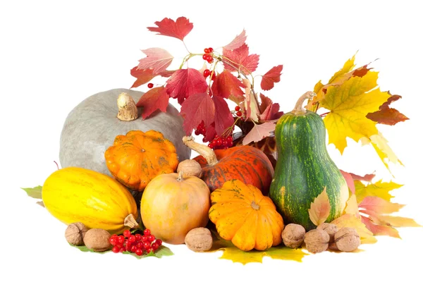 Осенний натюрморт с тыквами — стоковое фото
