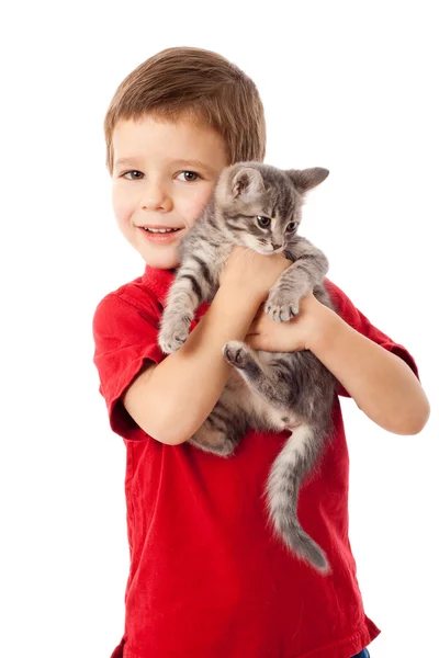 Kleiner Junge mit grauer Miezekatze in der Hand — Stockfoto