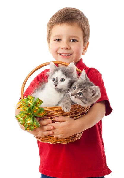 Маленький мальчик с двумя котятами в корзине — стоковое фото
