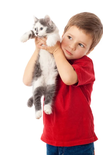 Little boy with kitten in hands — Stock Photo, Image