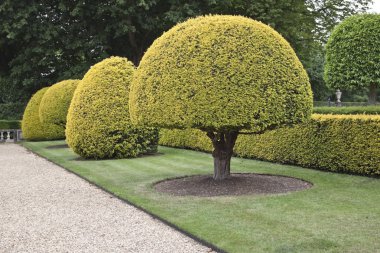 Waddesdon Manor. Park near Palace clipart