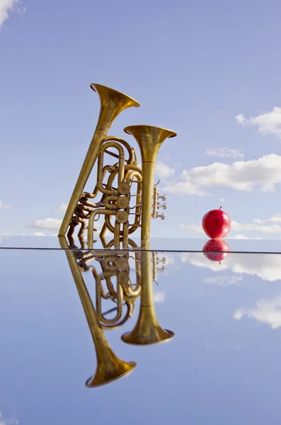 Two brass instrumens on mirror — Stock Photo, Image