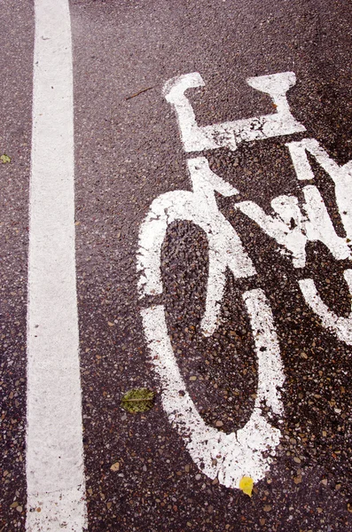Bisiklet yolda yağmur — Stok fotoğraf
