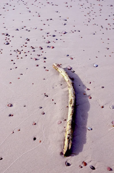 Камни и деревянный предмет на песке — стоковое фото