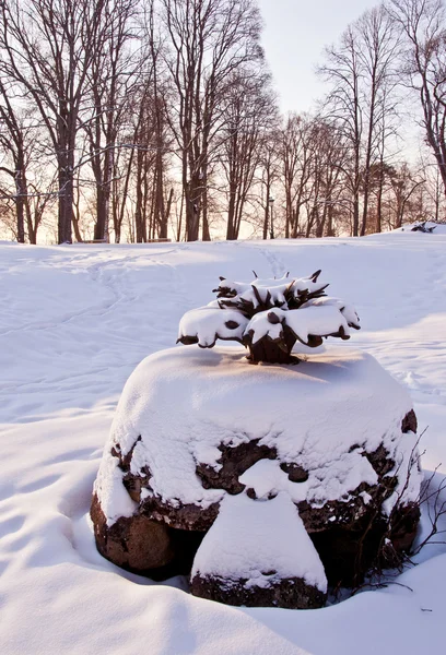 Fontana storica del parco e neve — Foto Stock