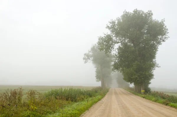 Onverharde weg in de ochtend mist — Stockfoto