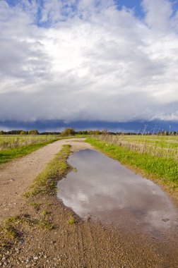 sonbaharın kırsal yol