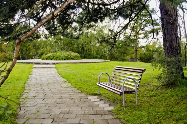Bench in the resort park — Stock Photo, Image