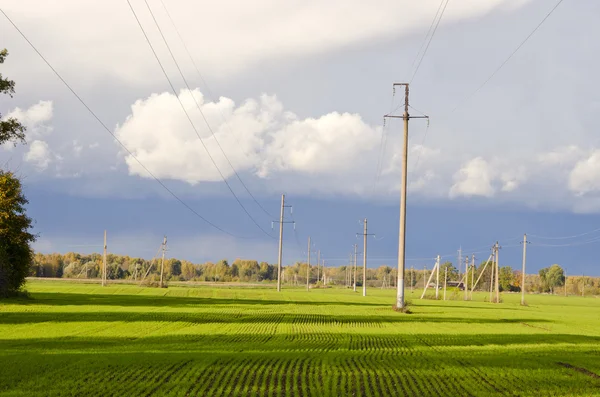 Herbsternte Feld und Wolken — Stockfoto