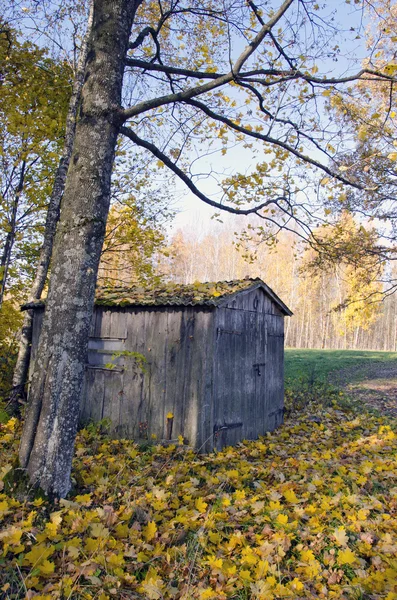Autumn in the village — Stock Photo, Image