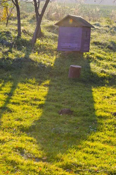 Bienenstock im Garten und Abendlicht — Stockfoto