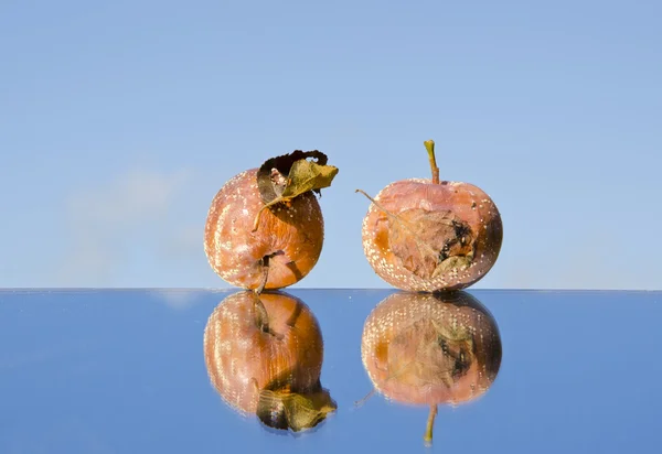 Ayna üzerinde iki çürük elma — Stok fotoğraf