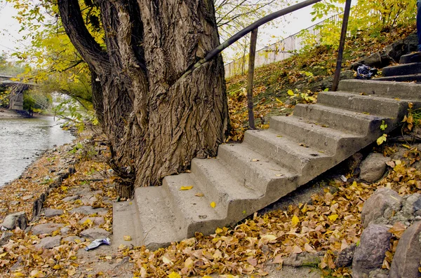 Treppe im alten Stadtpark — Stockfoto