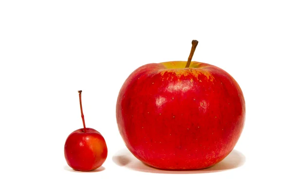 Big and small red apples on white — Stock Photo, Image