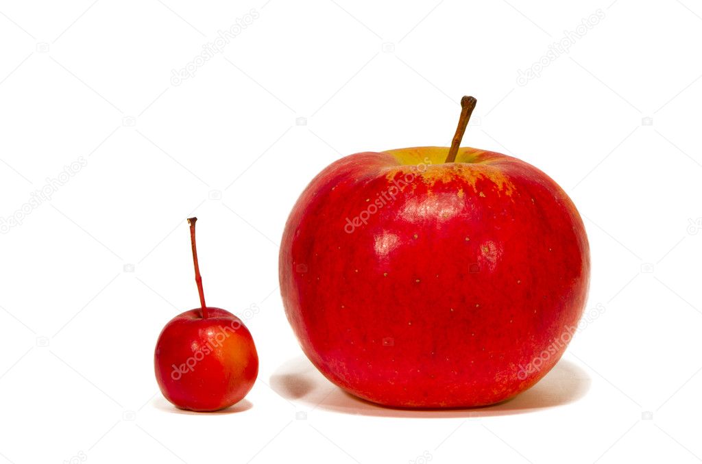 Big and small red apples on white