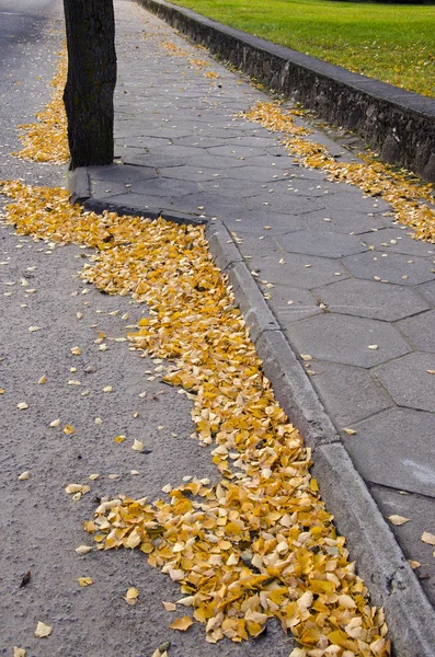 Φθινόπωρο φύλλα στο δρόμο πεζοδρόμιο — Φωτογραφία Αρχείου