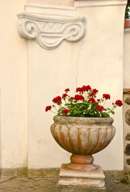 Retro vase with flowers and old wall clipart