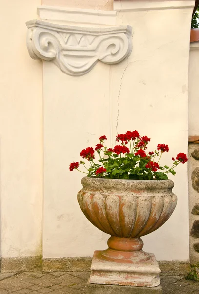 stock image Retro vase with flowers and old wall