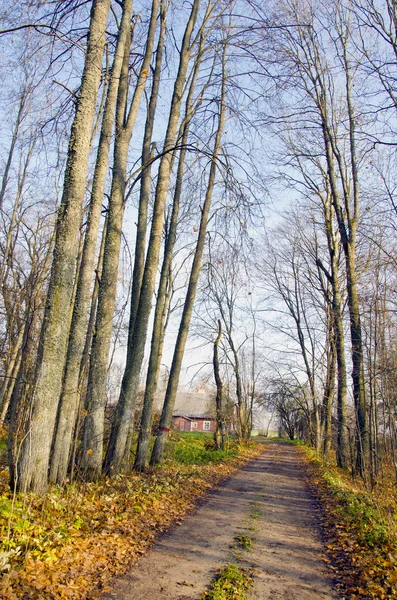 Old alley in the autumn park — Stock Photo, Image