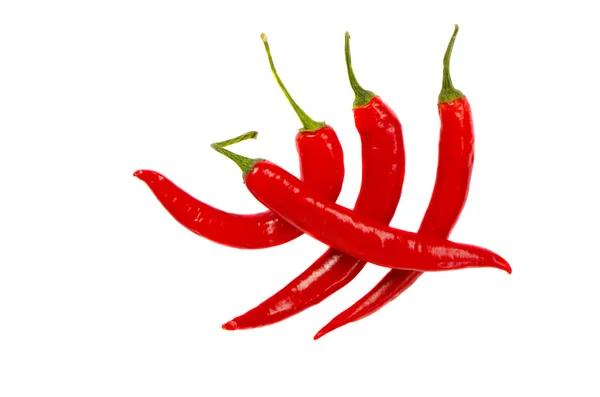 Vier rote Chilischoten auf weiß — Stockfoto