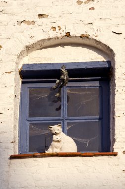 Eski kasaba pencere ile kedi oyuncak