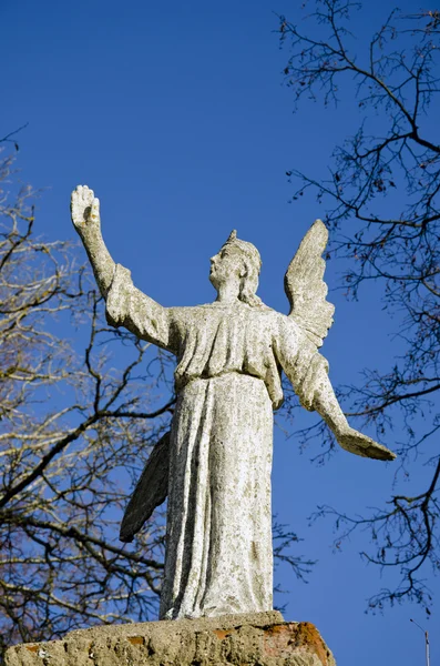 Old cemetery angel — Stock Photo, Image