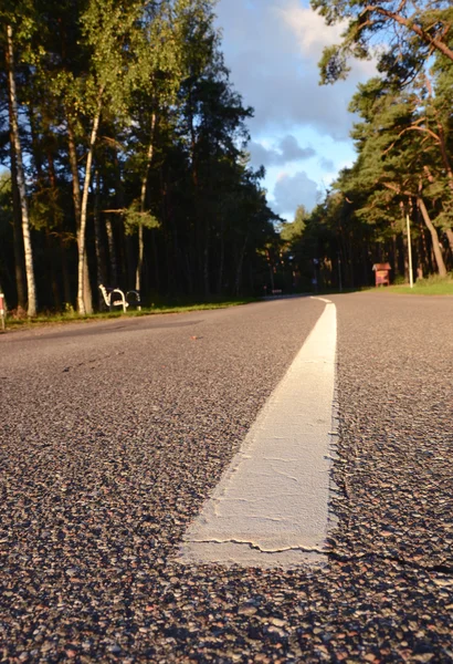Strada asfaltata nella foresta resort — Foto Stock