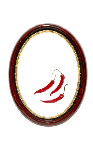 Изолированный красный перец чили и овальная рамка — стоковое фото