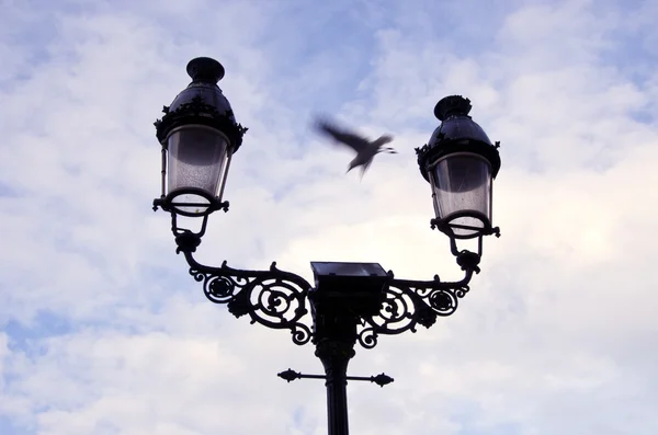 Luzes de rua retrô e gaivota em movimento — Fotografia de Stock