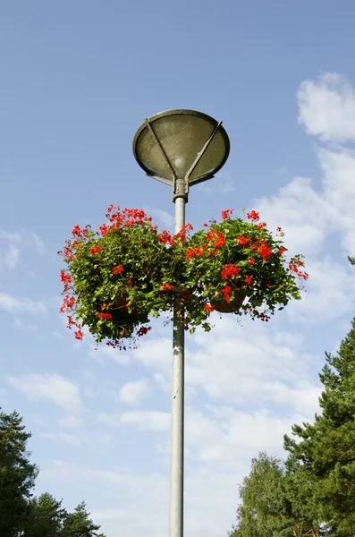 Уличная лампа с двумя цветочными горшками — стоковое фото