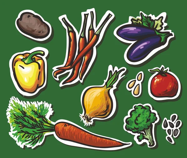 8 Gemüsesorten: Kartoffeln, Paprika, Auberginen, Zwiebeln, Tomaten, Karotten — Stockvektor