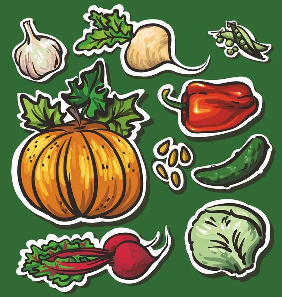 8 Gemüsesorten: Knoblauch, Rüben, Kürbisse, Gurken, Rüben, Kohl, — Stockvektor