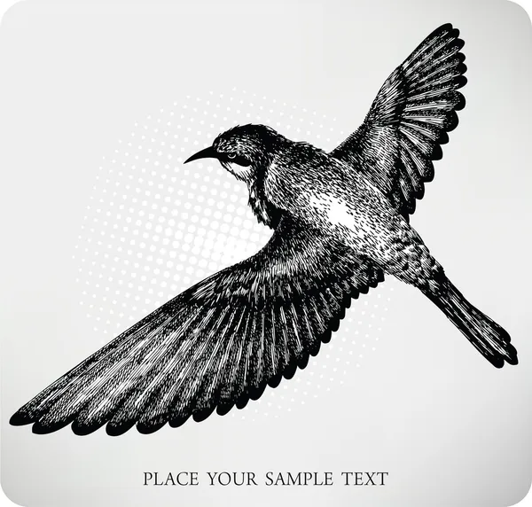 Pájaro volando mano dibujada. Vector — Vector de stock