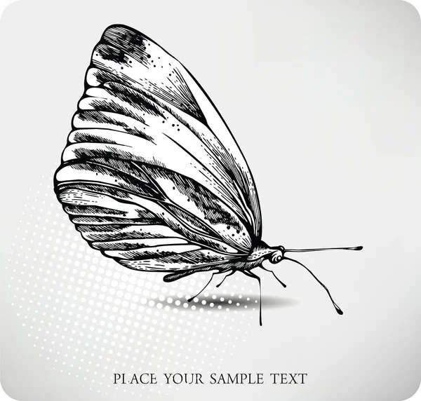 Motýl pro ruční kreslení. vektor — Stockový vektor