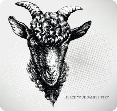 Black goat hand drawn. Vector illustration clipart