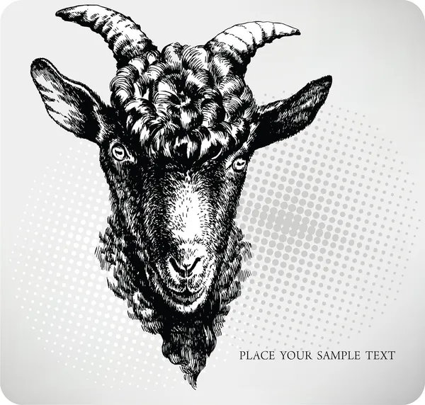 Black goat hand drawn. Vector illustration — Stock Vector