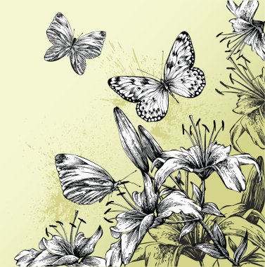 Background with blooming lilies and beautiful butterflies, hand-drawing. Ve clipart