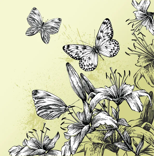 Fondo con azucenas florecientes y hermosas mariposas, dibujo a mano. Ve. — Vector de stock