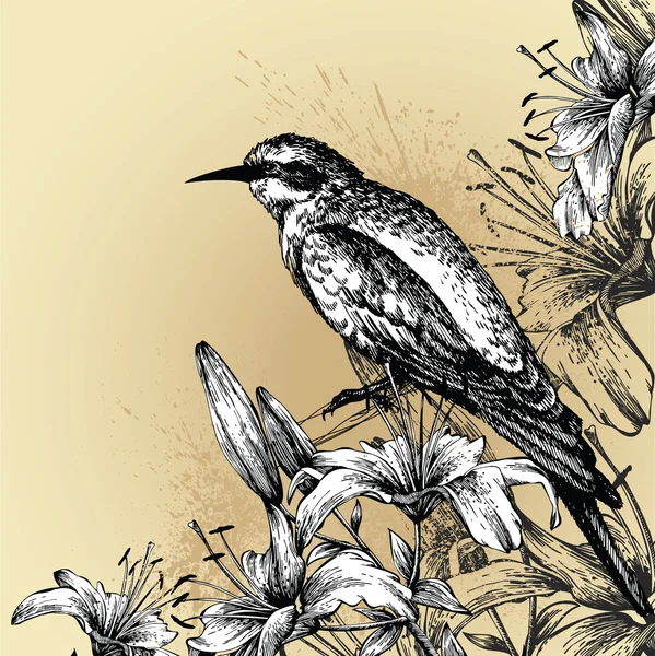 Hintergrund mit blühenden Lilien und einem sitzenden Vogel. Handzeichnung. Vektor il — Stockvektor
