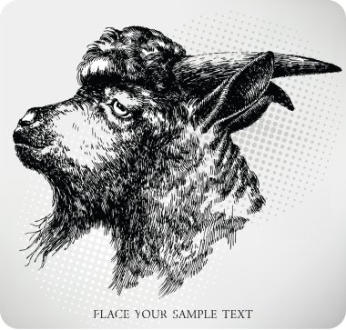 Black horned goat, hand-drawing. Vector illustration clipart