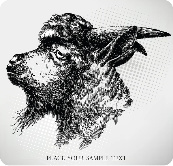 Fekete szarvas kecske, kézi rajz. Vektoros illusztráció — Stock Vector