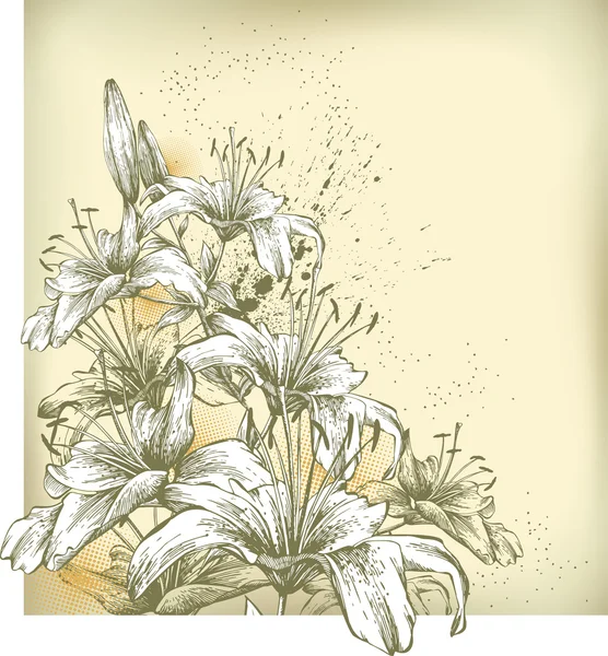 Fondo floreale con gigli in fiore, disegno a mano — Vettoriale Stock